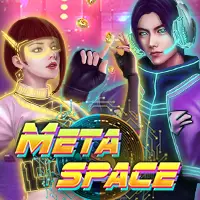 MetaSpace