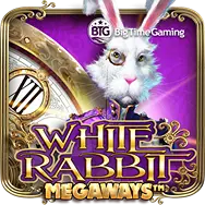 White Rabbit