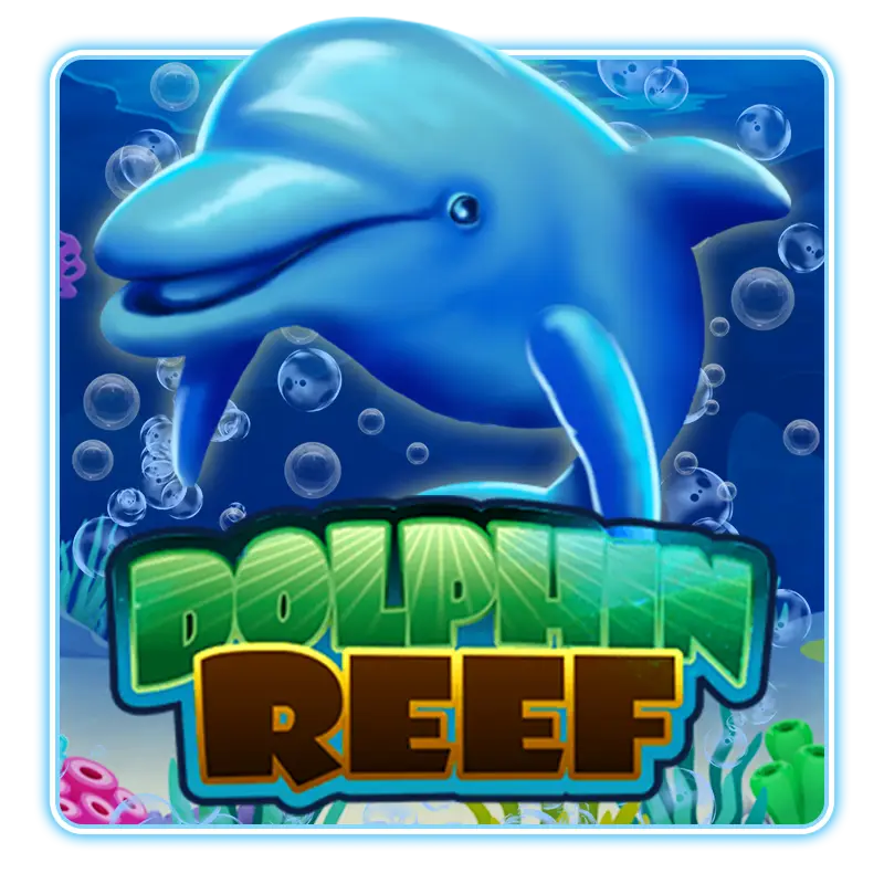 Dolphin Reef