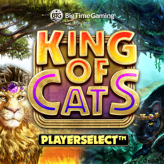kingofcatsv10000