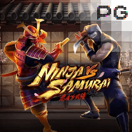Ninja Vs Samurai