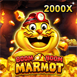 Boom Boom Marmot